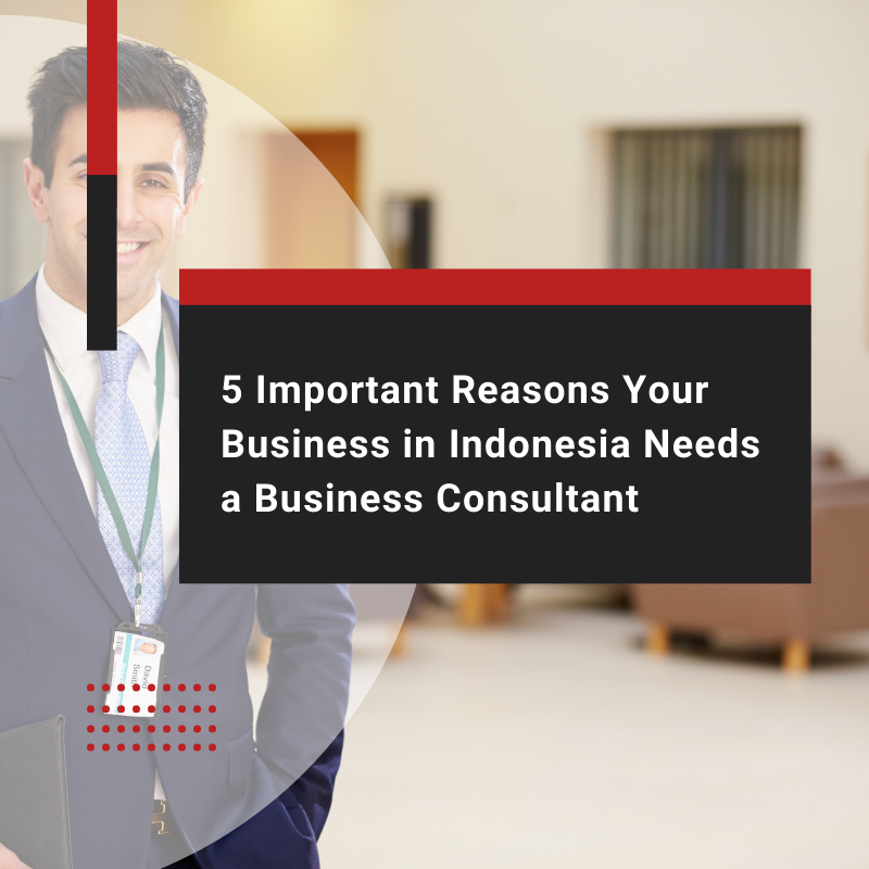 5 Important Reasons Your Business in Indonesia Needs a Business Consultant